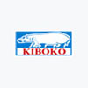 Kiboko Holdings