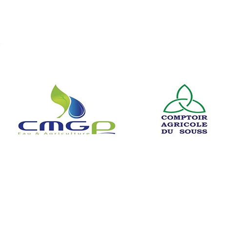 AfricInvest and DPI announce completion of CMGP and CAS merger, creating a leader in Moroccan and Pan-African Agriculture sector